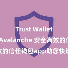 Trust Wallet如何使用Avalanche 安全高效的信任钱包app助您快速处理金钱