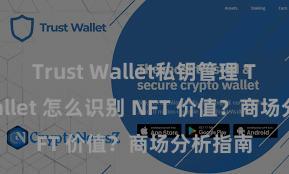 Trust Wallet私钥管理 Trust Wallet 怎么识别 NFT 价值？商场分析指南